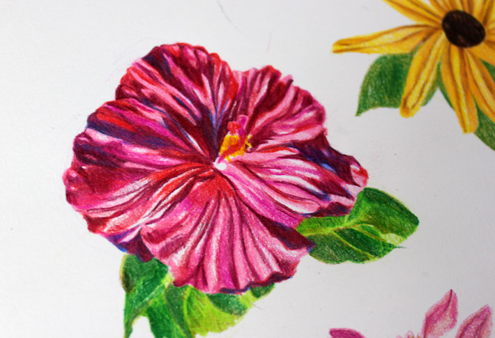 Finished flower drawing