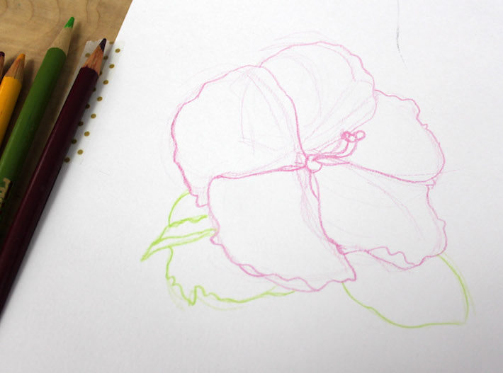 Flower outline