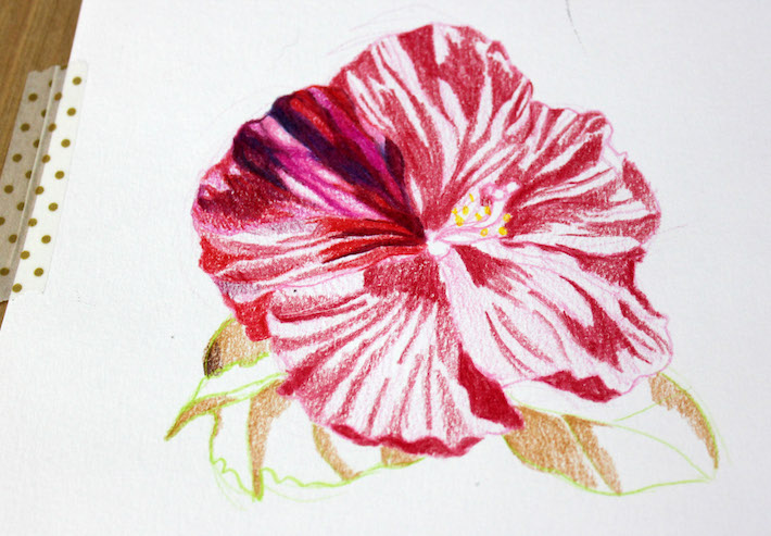 Flower with some shading