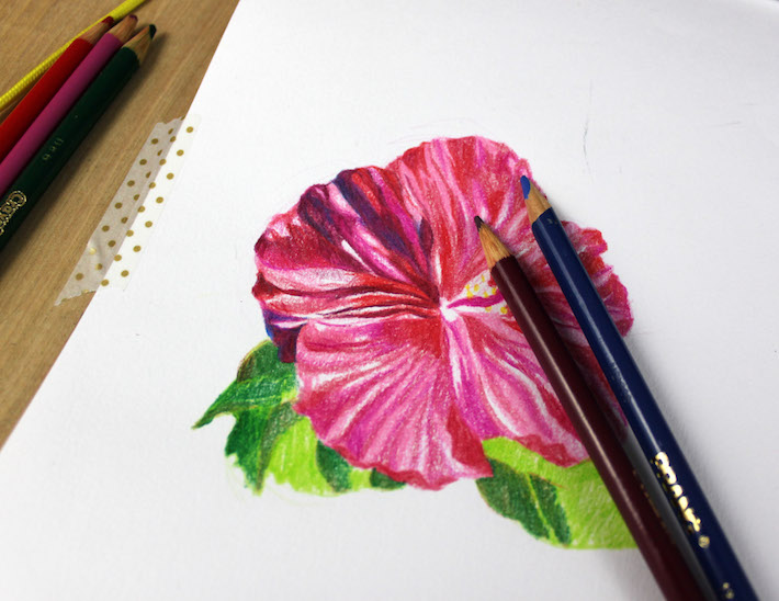 Flower with more shading
