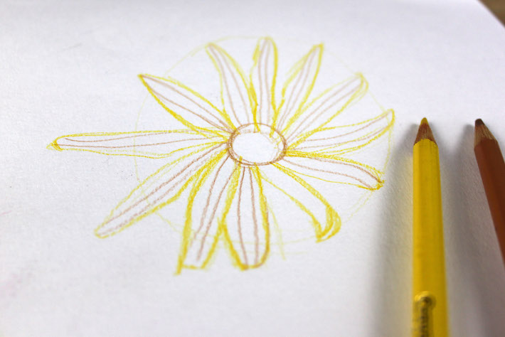 Sunflower drawing with some detail