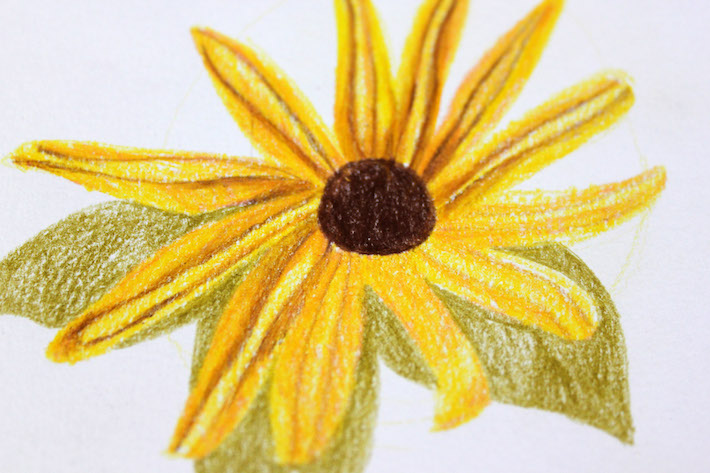 Flower shading with some detail