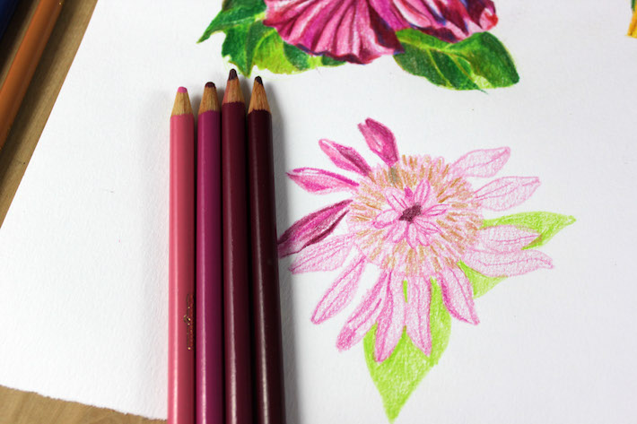 Flower with some shading