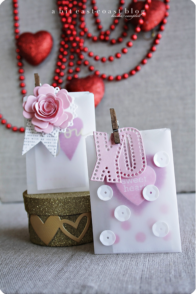 Vellum Valentine Pouches