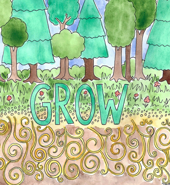 Grow 