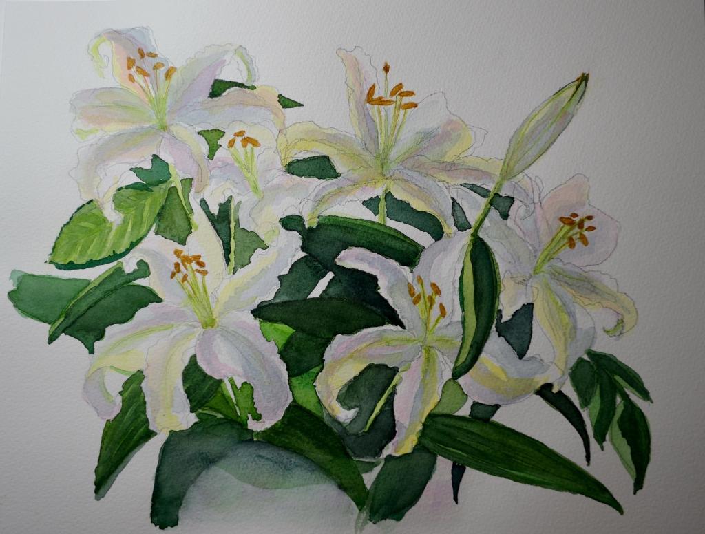 Painted Lillies