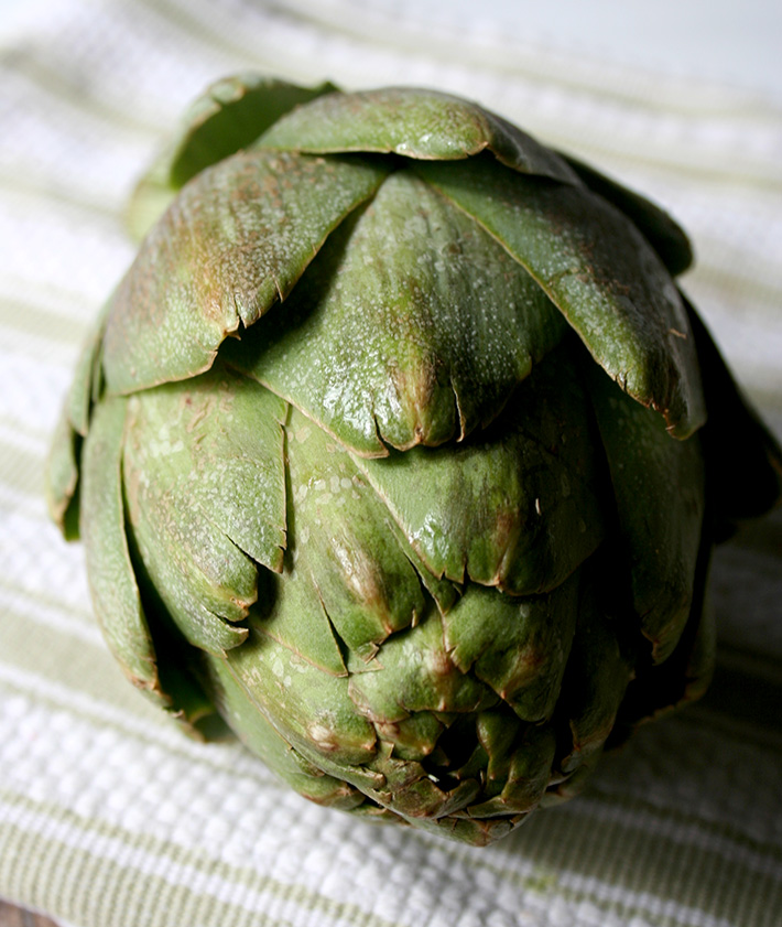 What to look for when choosing an artichoke