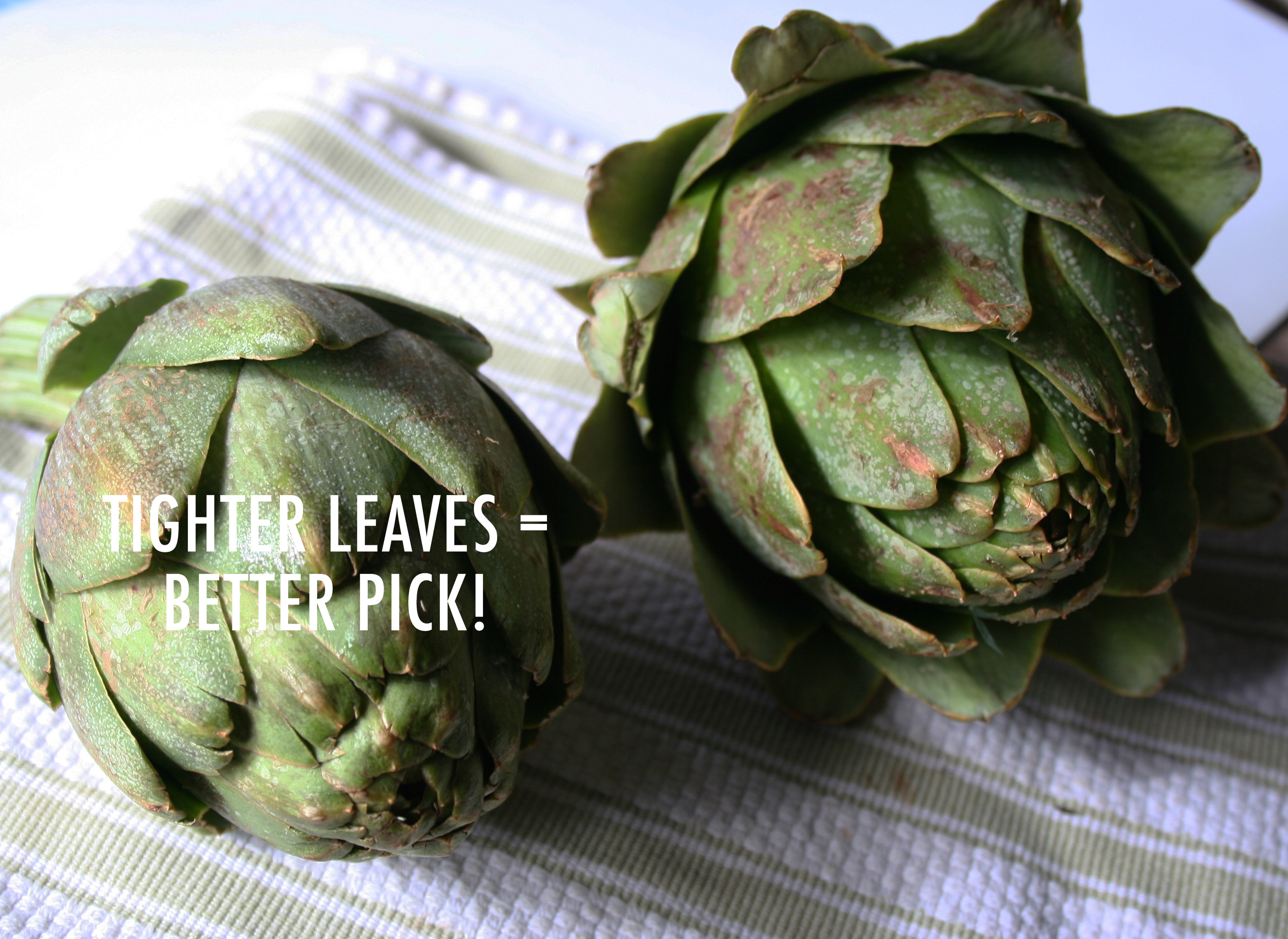 Things to look for when choosing an artichoke