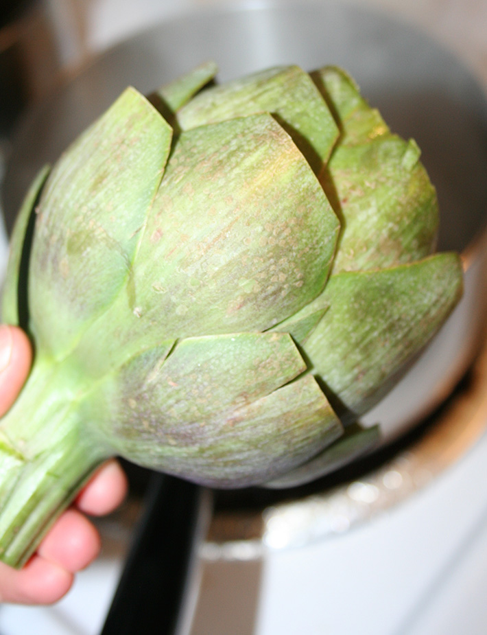 Artichoke ready to put in boiling water