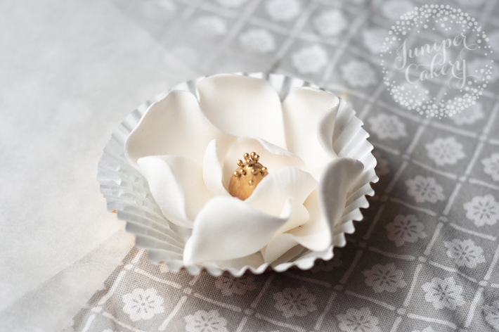 Easy sugar magnolia cupcake tutorial by Juniper Cakery