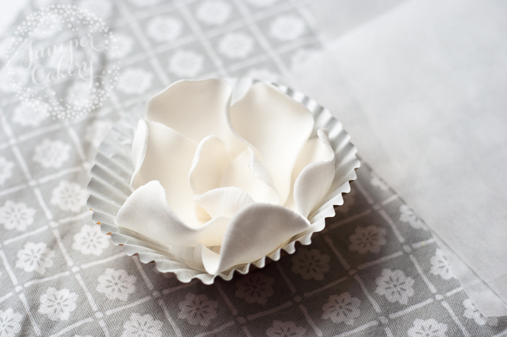 Golden magnolia cupcake tutorial by Juniper Cakery