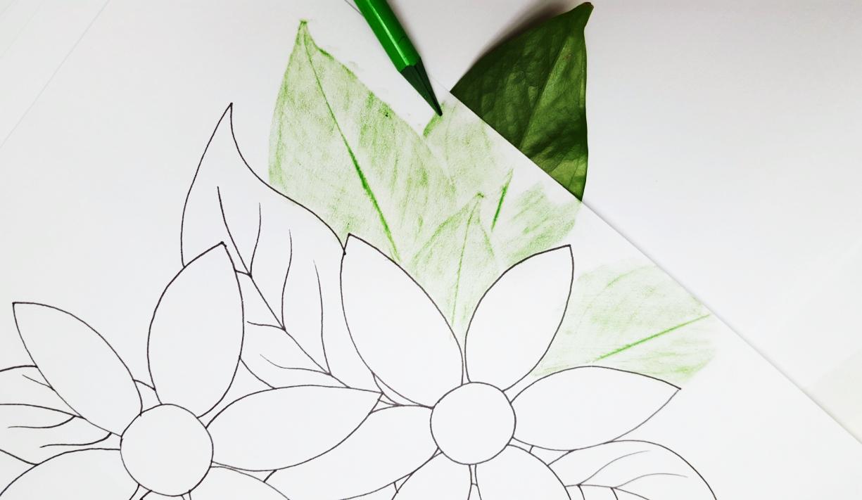 leaf texture