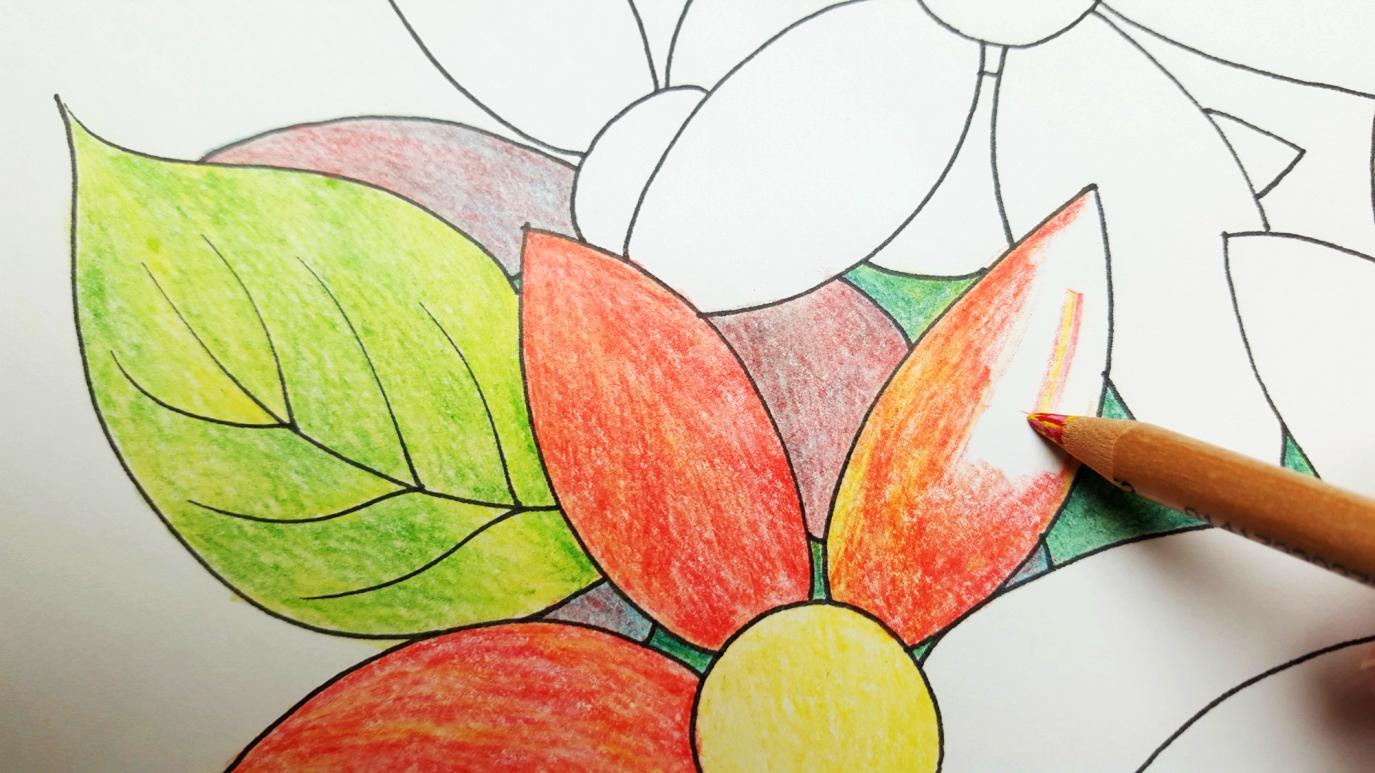 multi colored pencils