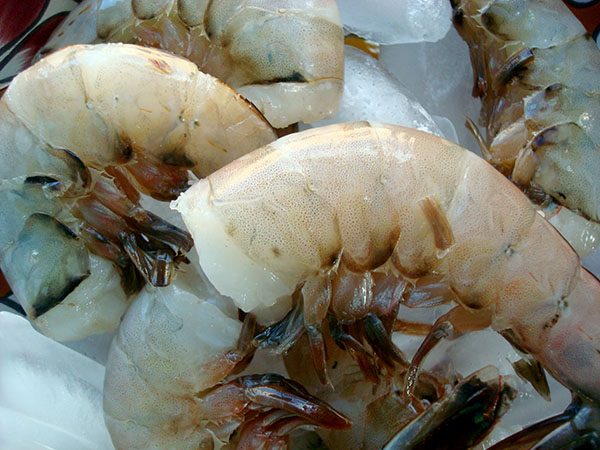 Deveining shrimp