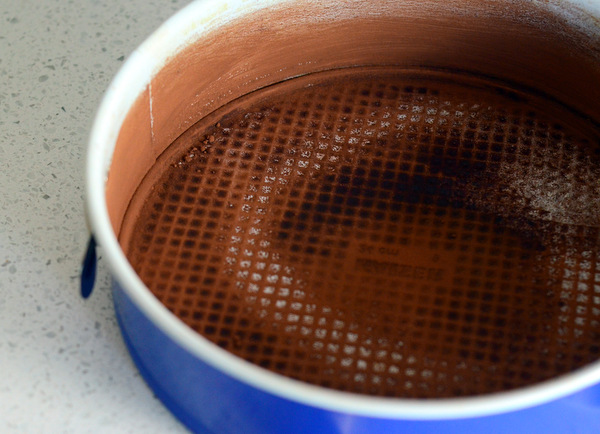 Cocoa-Dusted Springform Pan