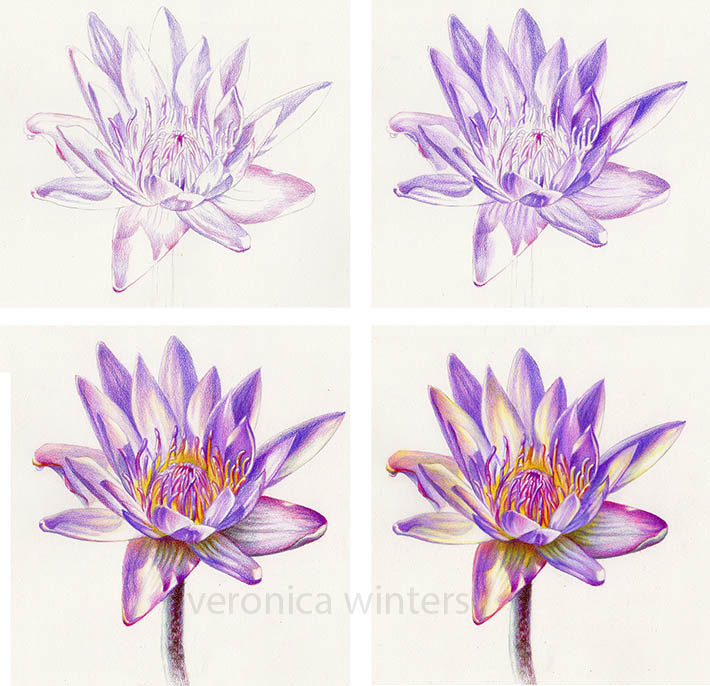 Layering colored pencils