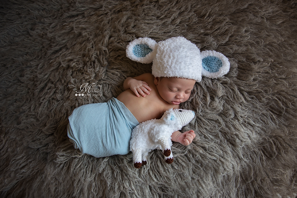 Newborn Lamb Hat with Matching Plush Toy FREE Crochet Pattern
