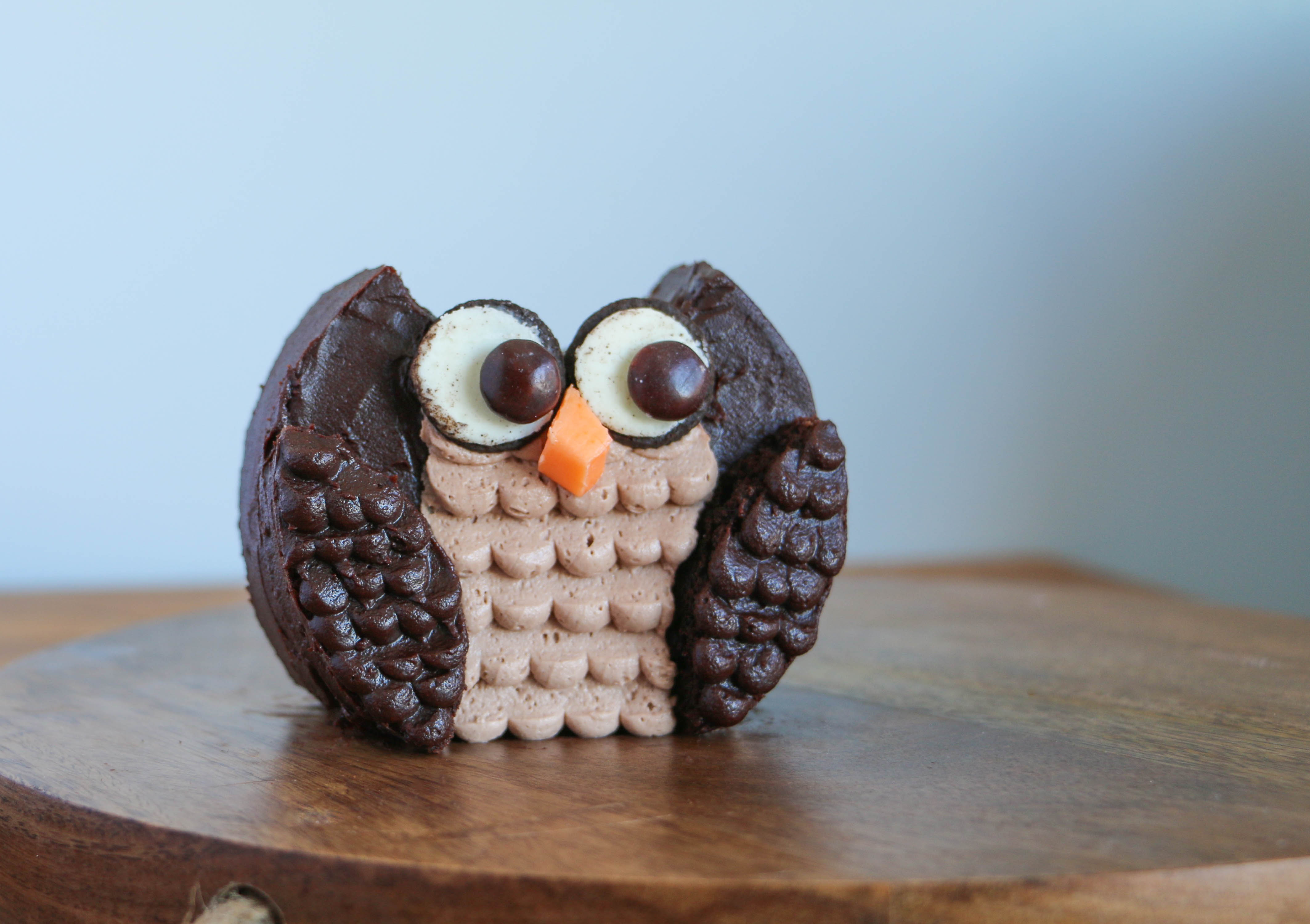 Finished owl cake | Erin Gardner | Craftsy