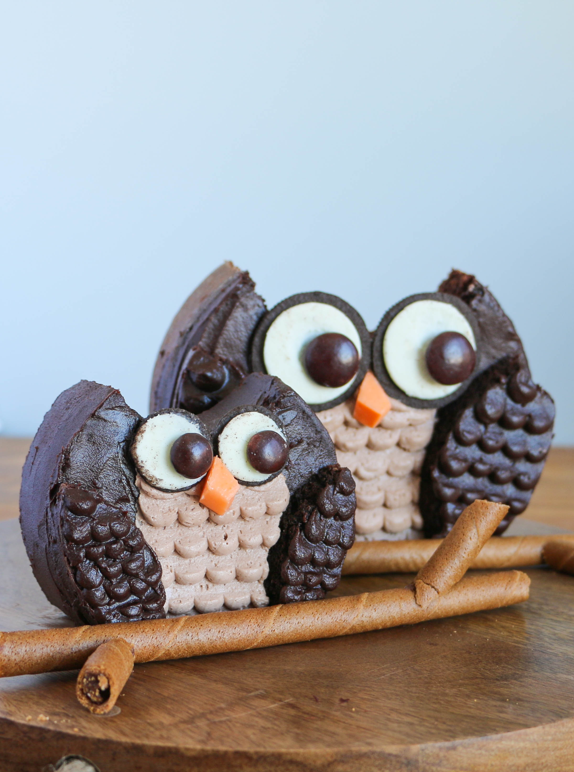 How to make an owl cake | Erin Gardner | Craftsy