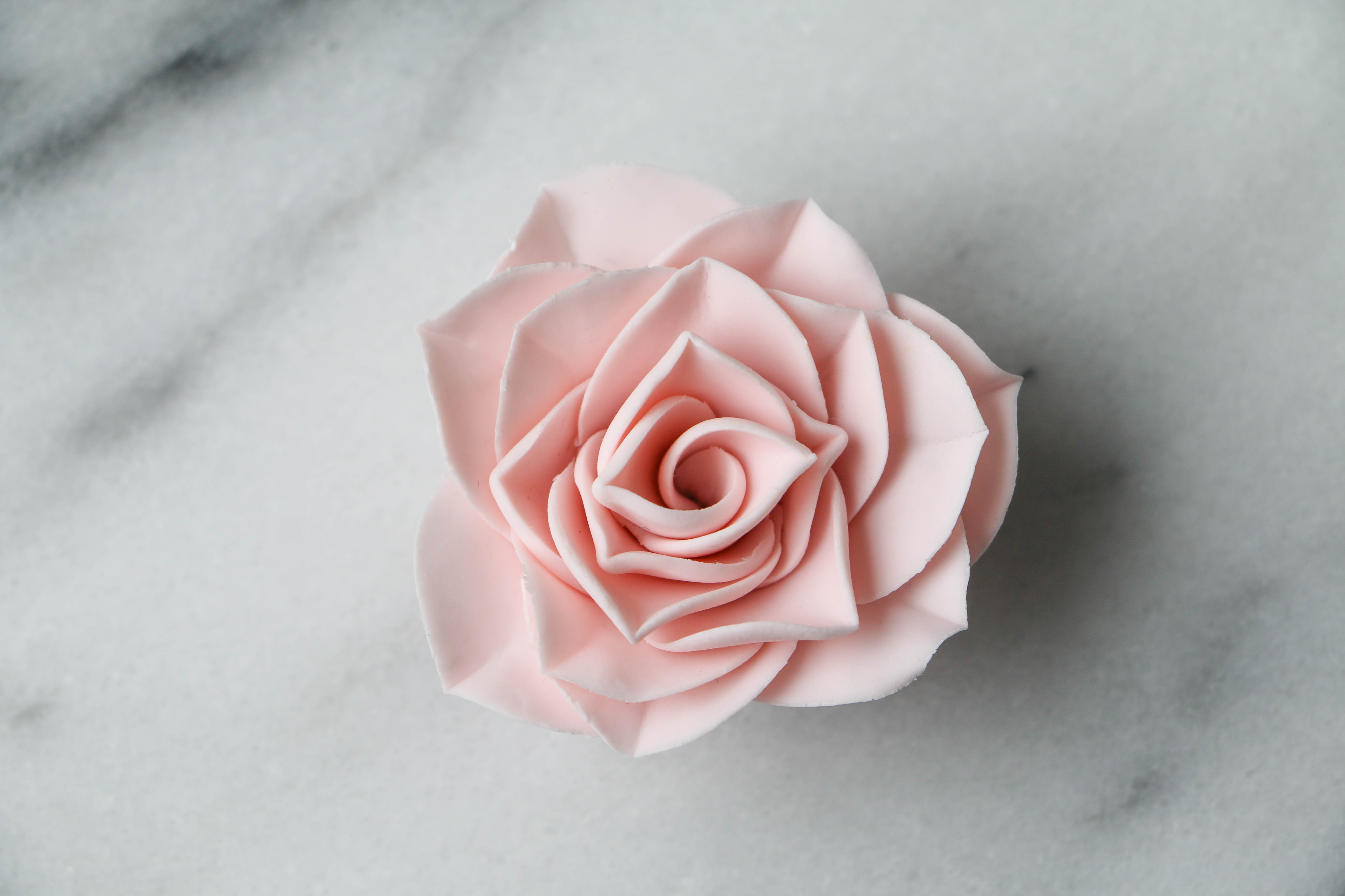 Larger Rose with Pointed Petals | Erin Gardner  | Craftsy