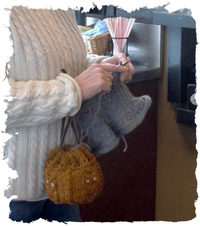 Hootin It Up Knit Project Bag Pattern