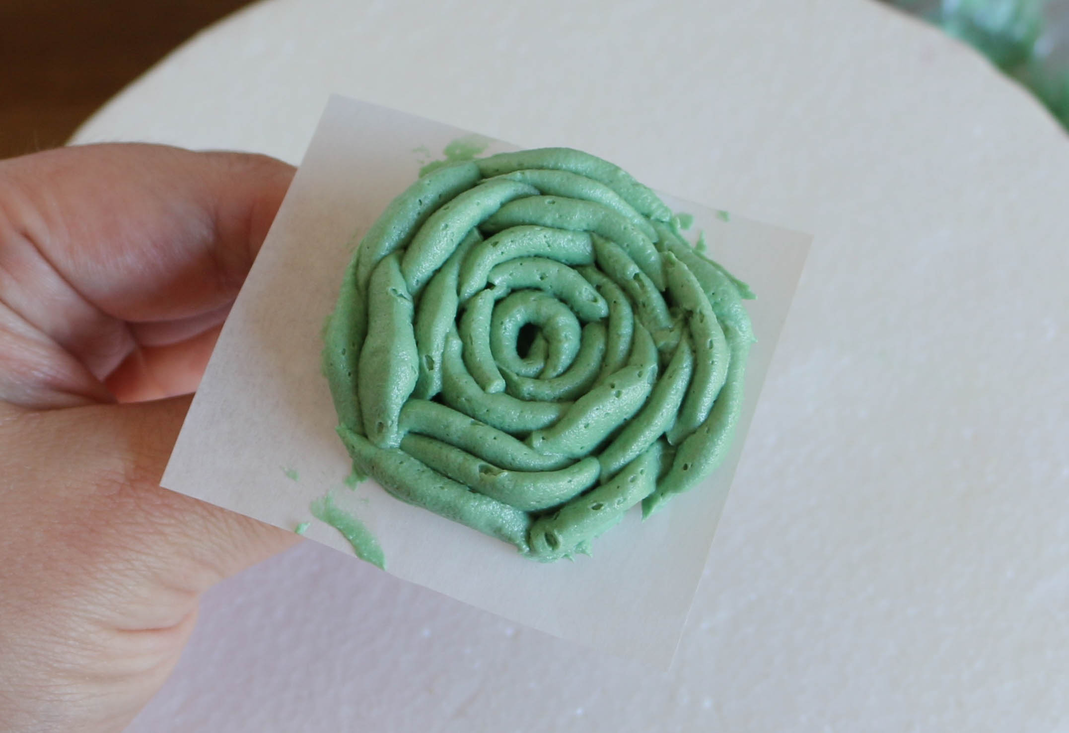 Finished coiled center succulent | Erin Gardner | Bluprint