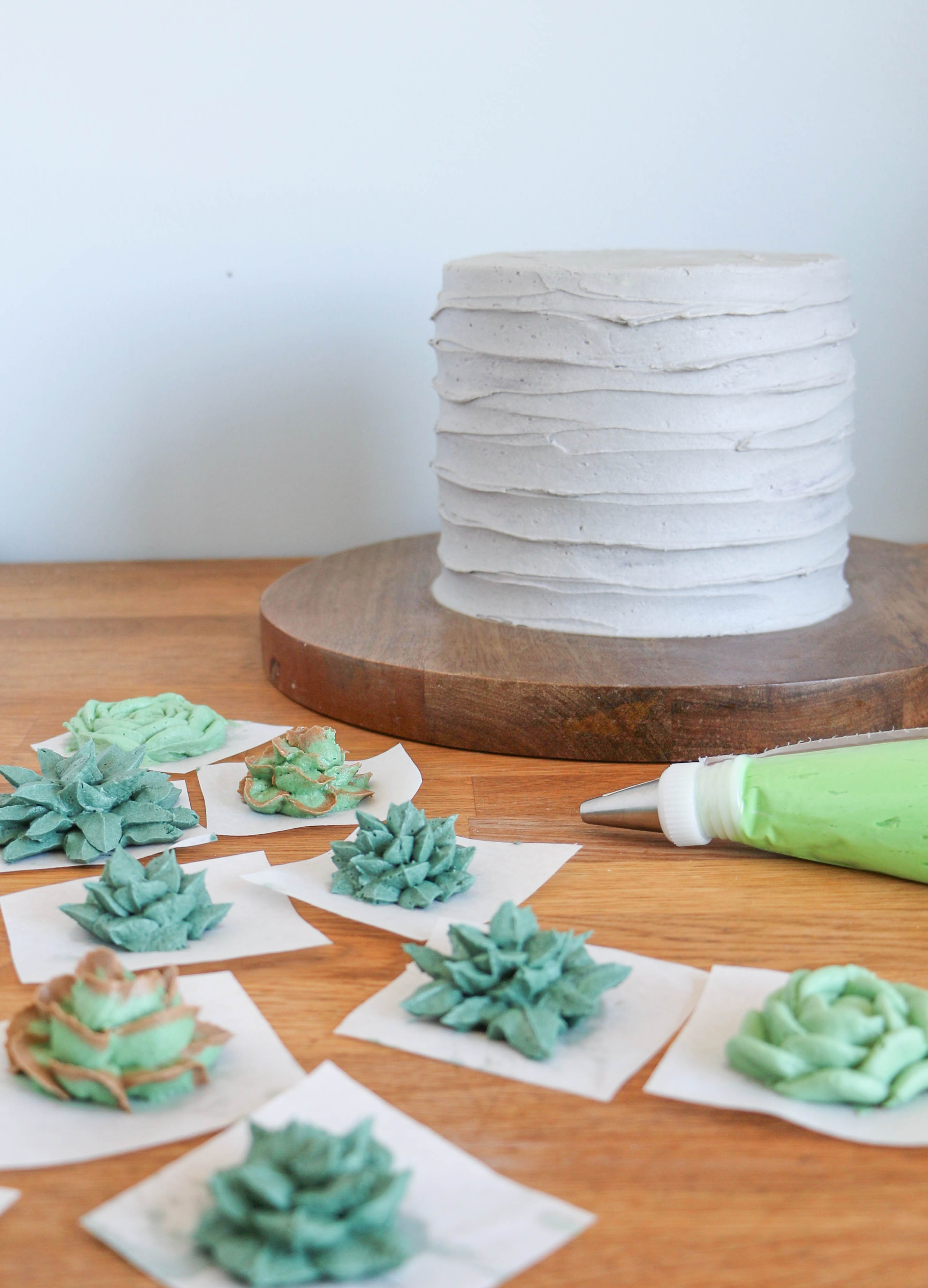 Arranging the succulents | Erin Gardner | Bluprint