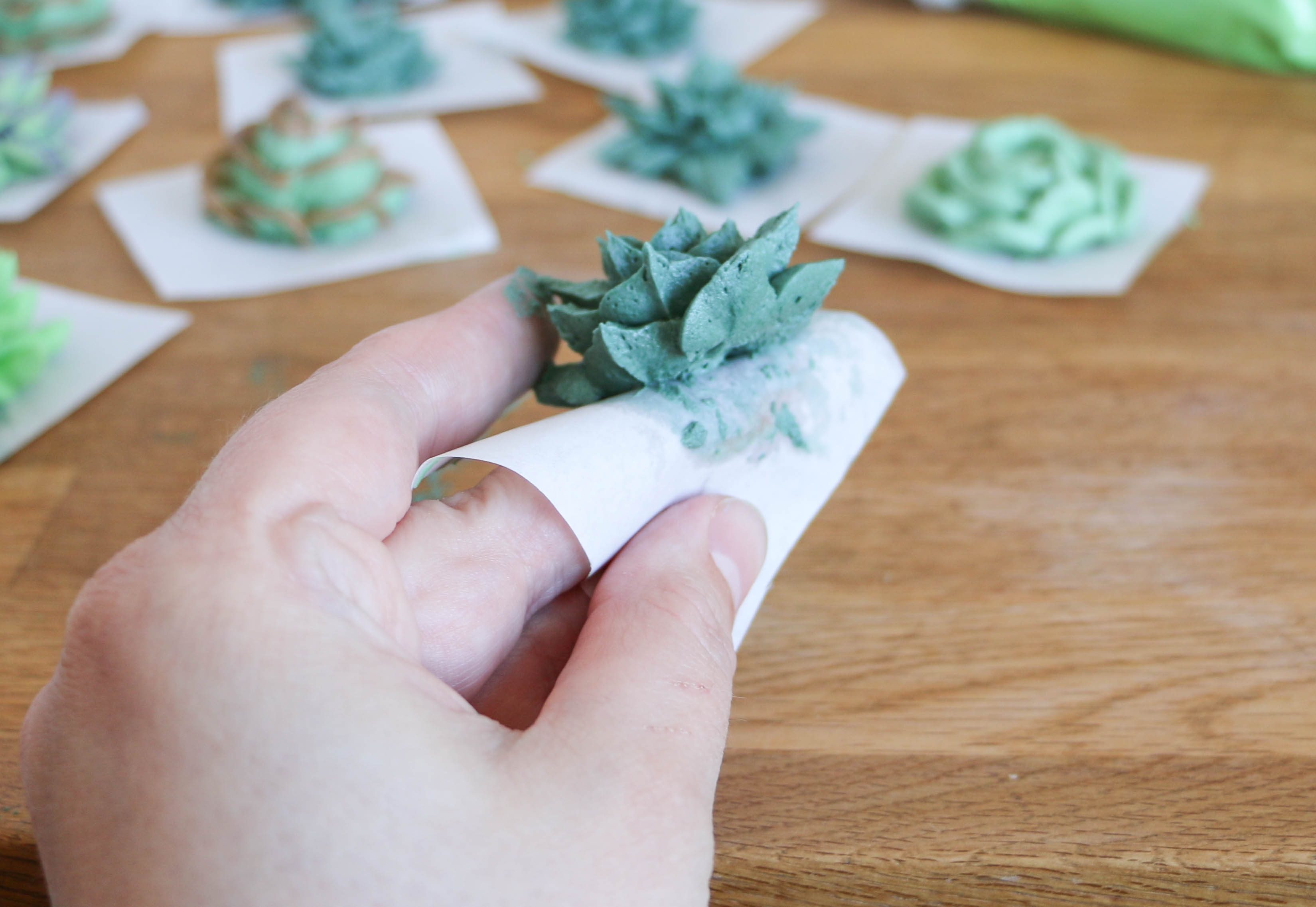 Peeling off the paper | Erin Gardner | Bluprint