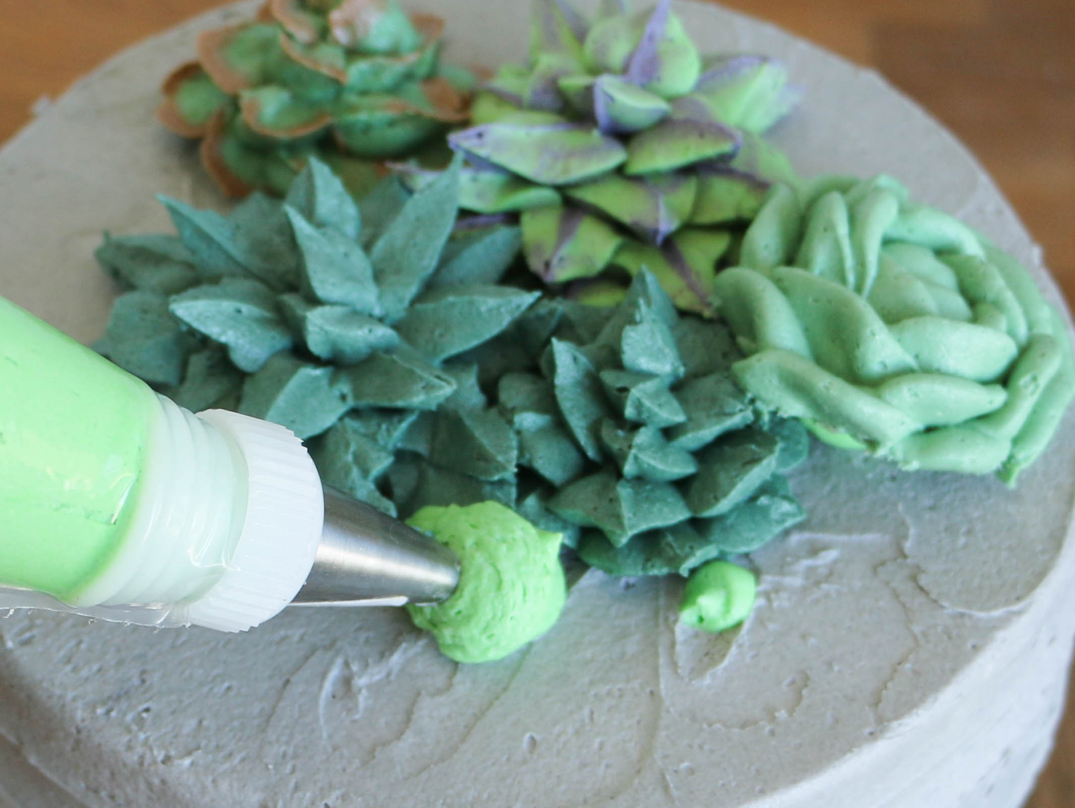 Creating a mounded effect | Erin Gardner | Bluprint