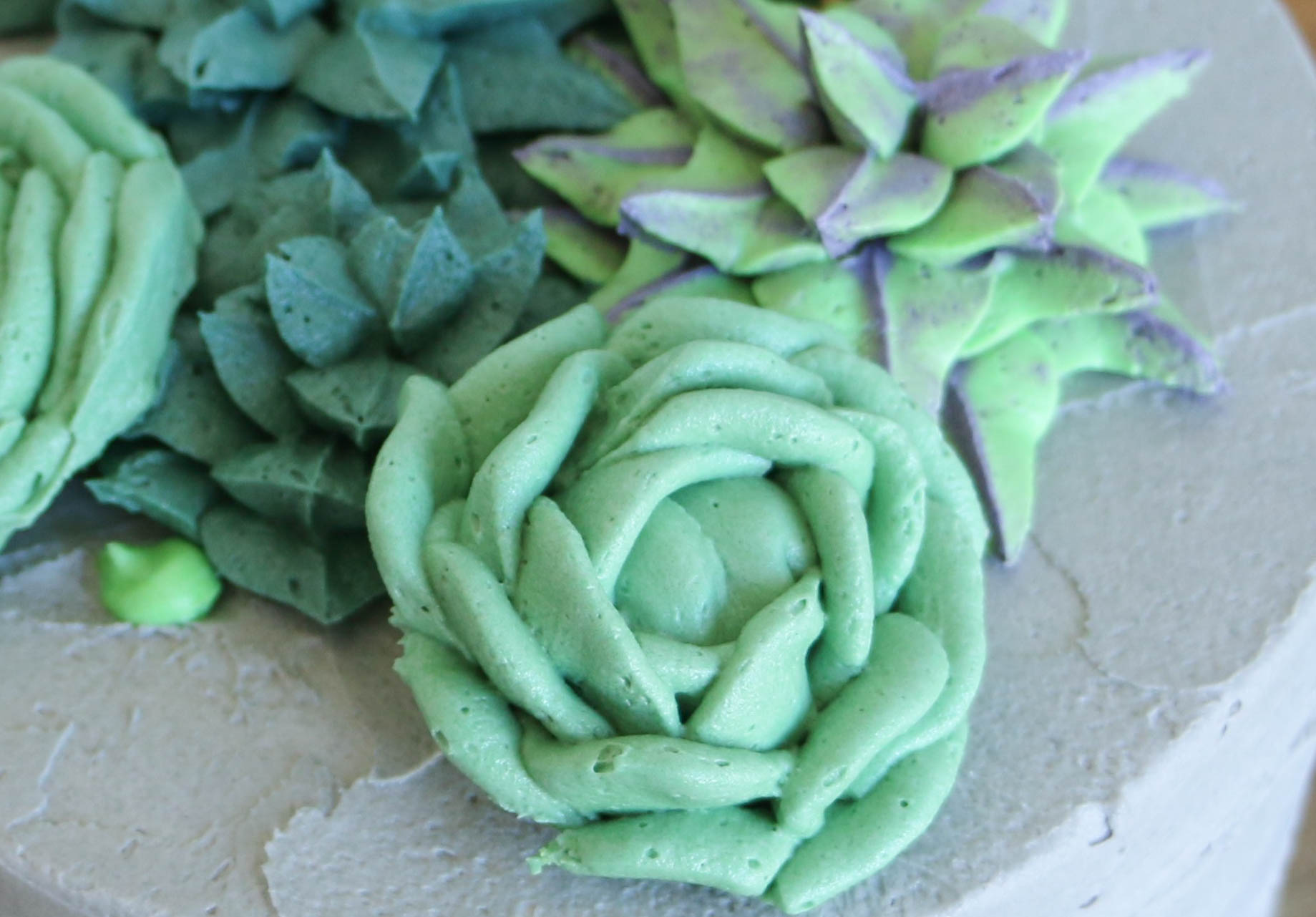 Creating a mounded effect | Erin Gardner | Bluprint