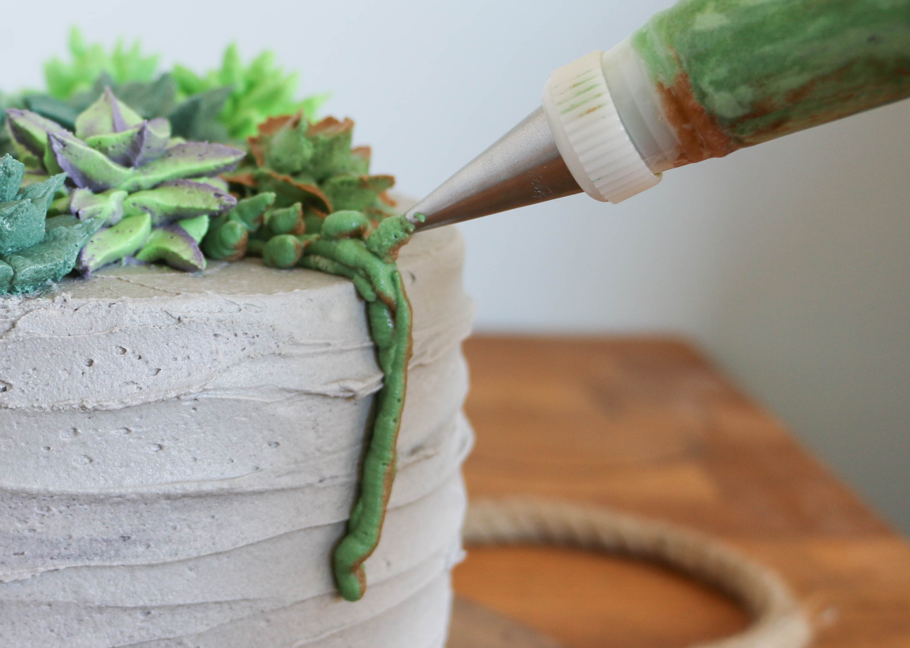 Piping dots on the line | Erin Gardner | Bluprint