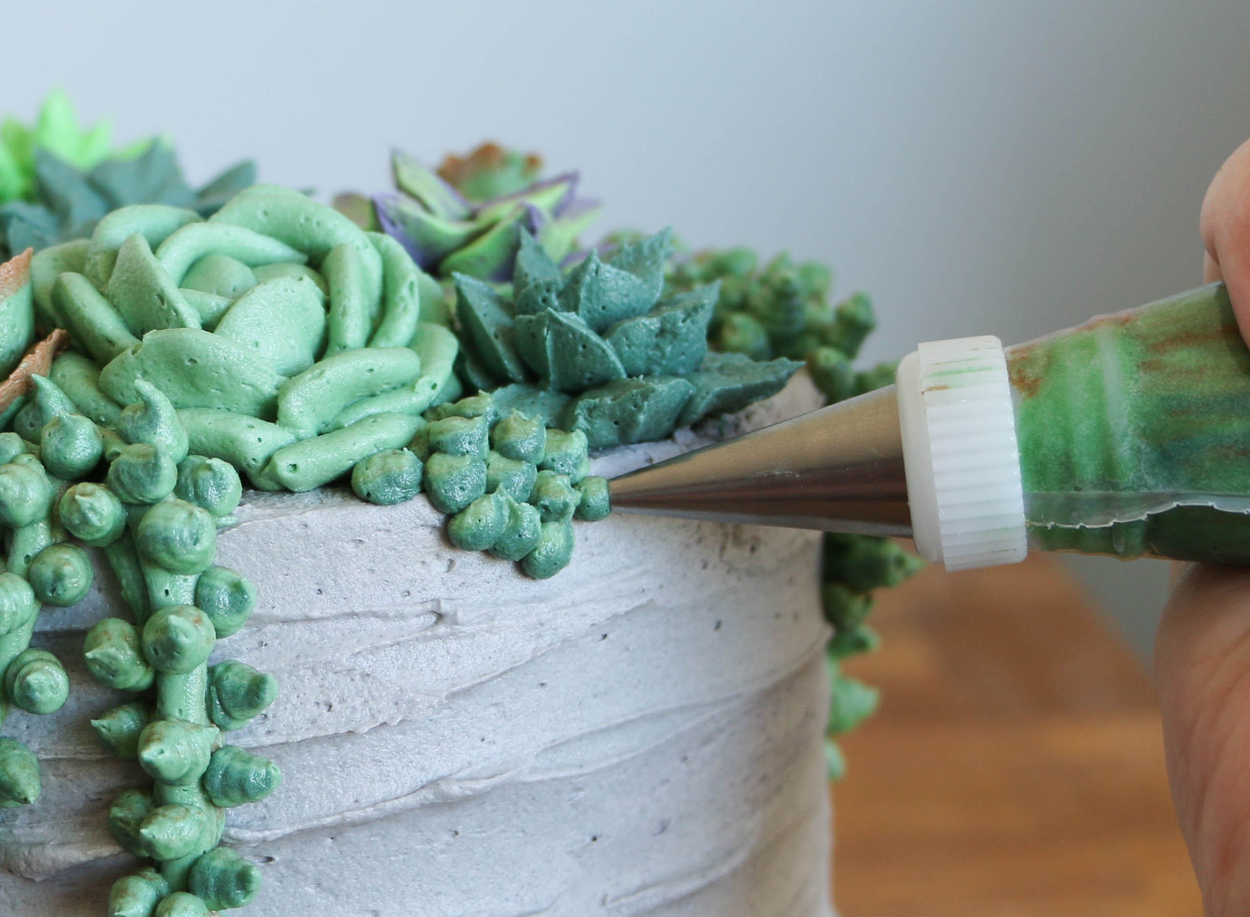Piping clusters of small dots | Erin Gardner | Bluprint