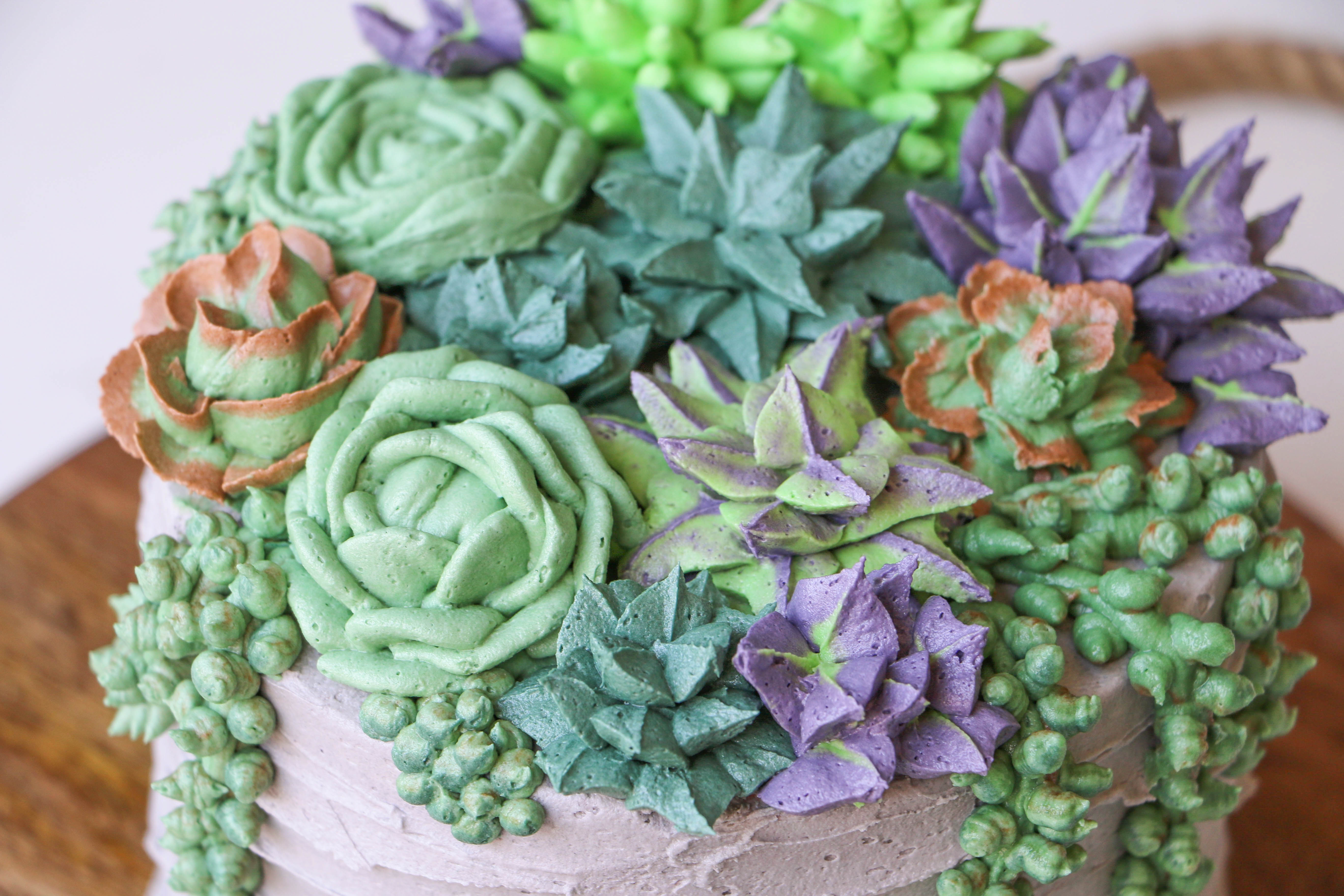 Buttercream succulents | Erin Gardner | Bluprint