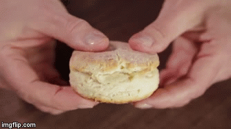 breaking biscuit gif