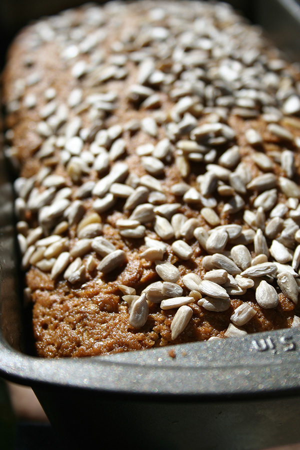 Avocado seed in bread