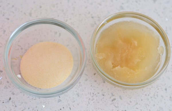 Powdered Gelatin and Bloomed Gelatin