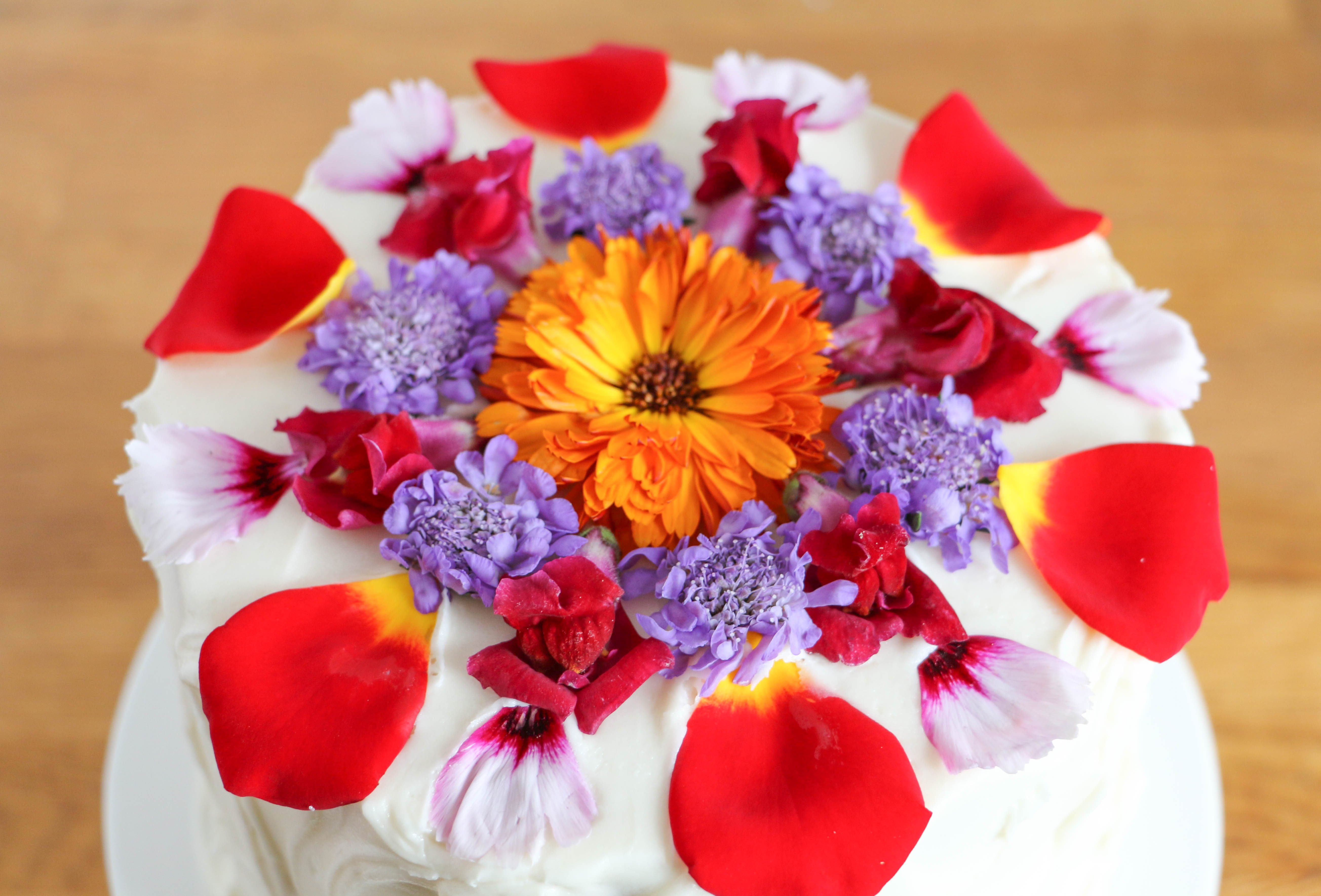 Edible Flower Cake by Erin Gardner