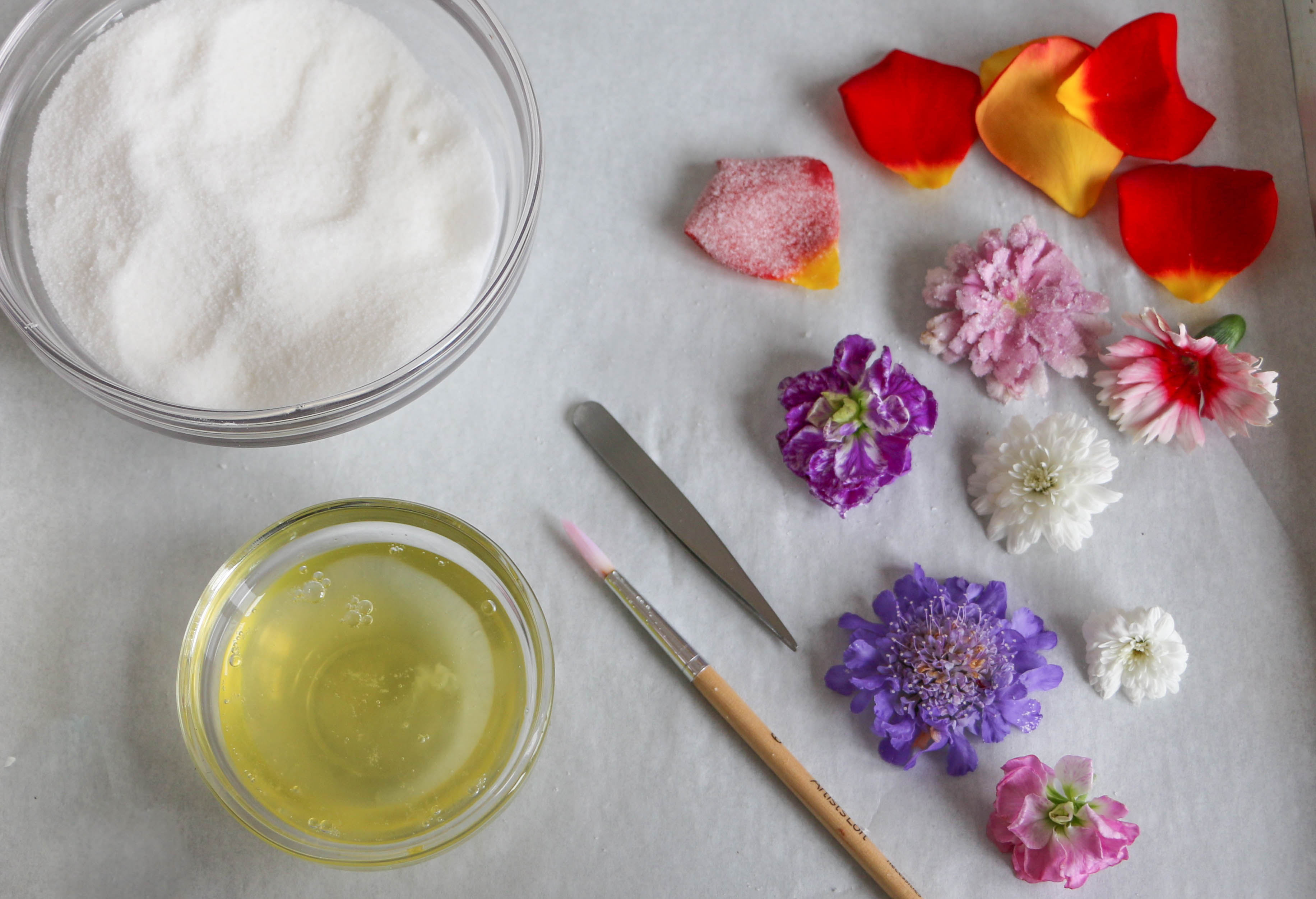 Candied Flower Supplies | Erin Gardner