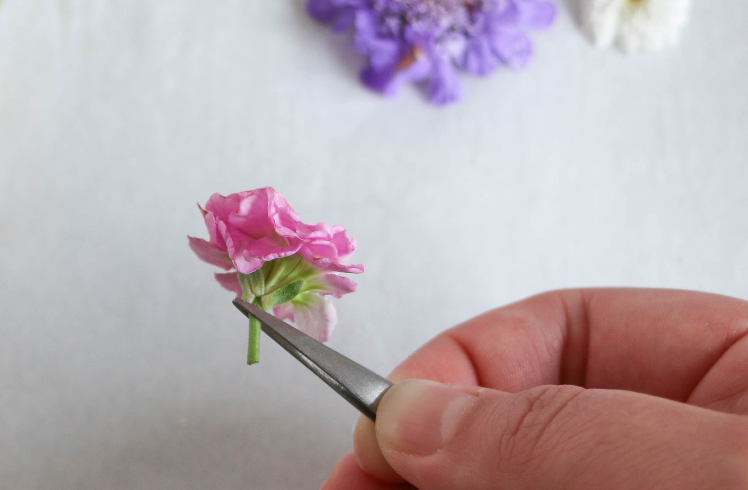 Picking Up a Flower with Tweezers | Erin Gardner