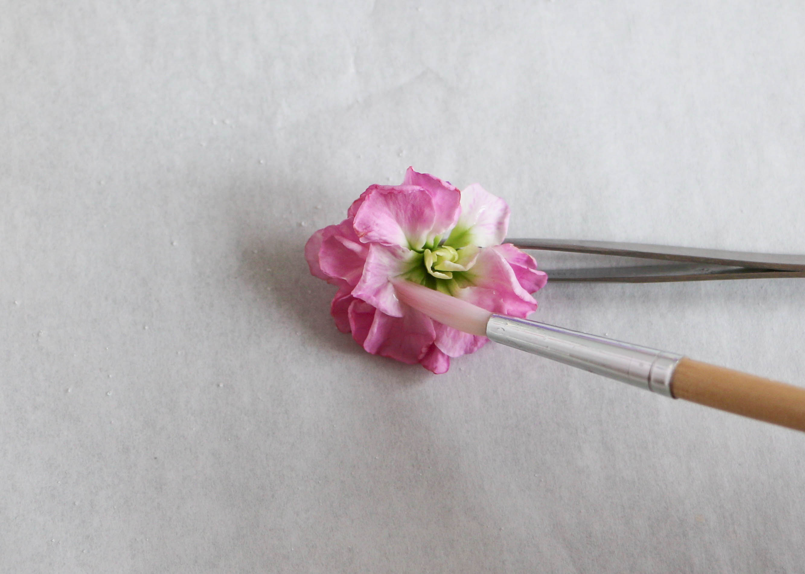 Painting Petals with Egg Whites | Erin Gardner