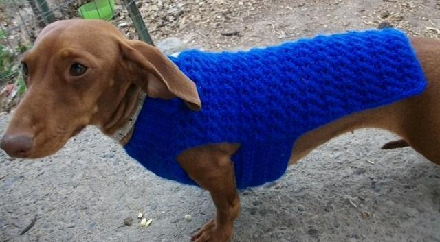 Dachshund and Small Dog Coat Crochet Pattern