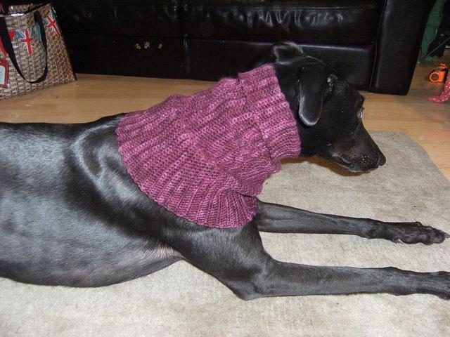 Greyhound Snood Free Crochet Pattern