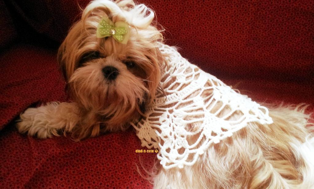 Boho Leaf Dog Dress Crochet Pattern