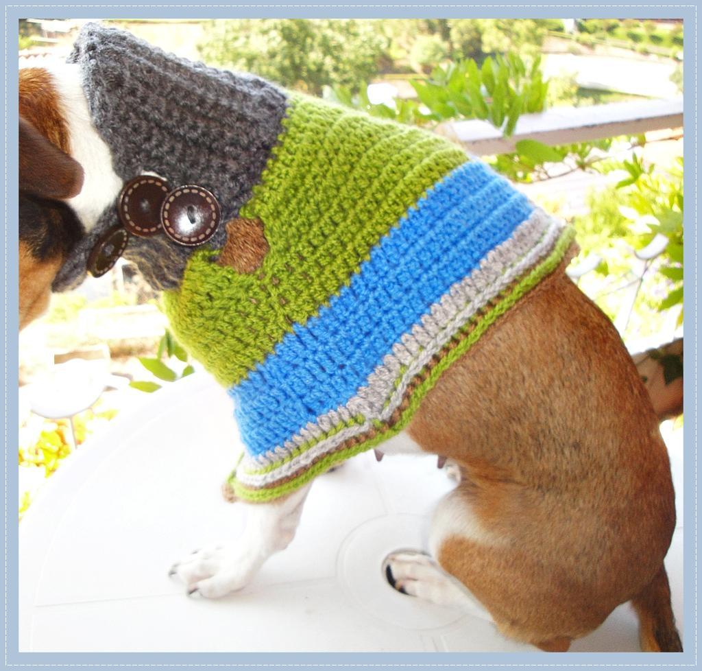 Dog Poncho Crochet Pattern