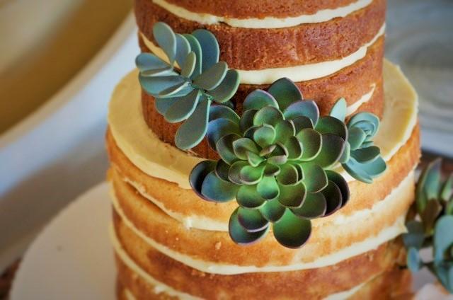 Succulent naked cake by Bluprint member SweetWhisk