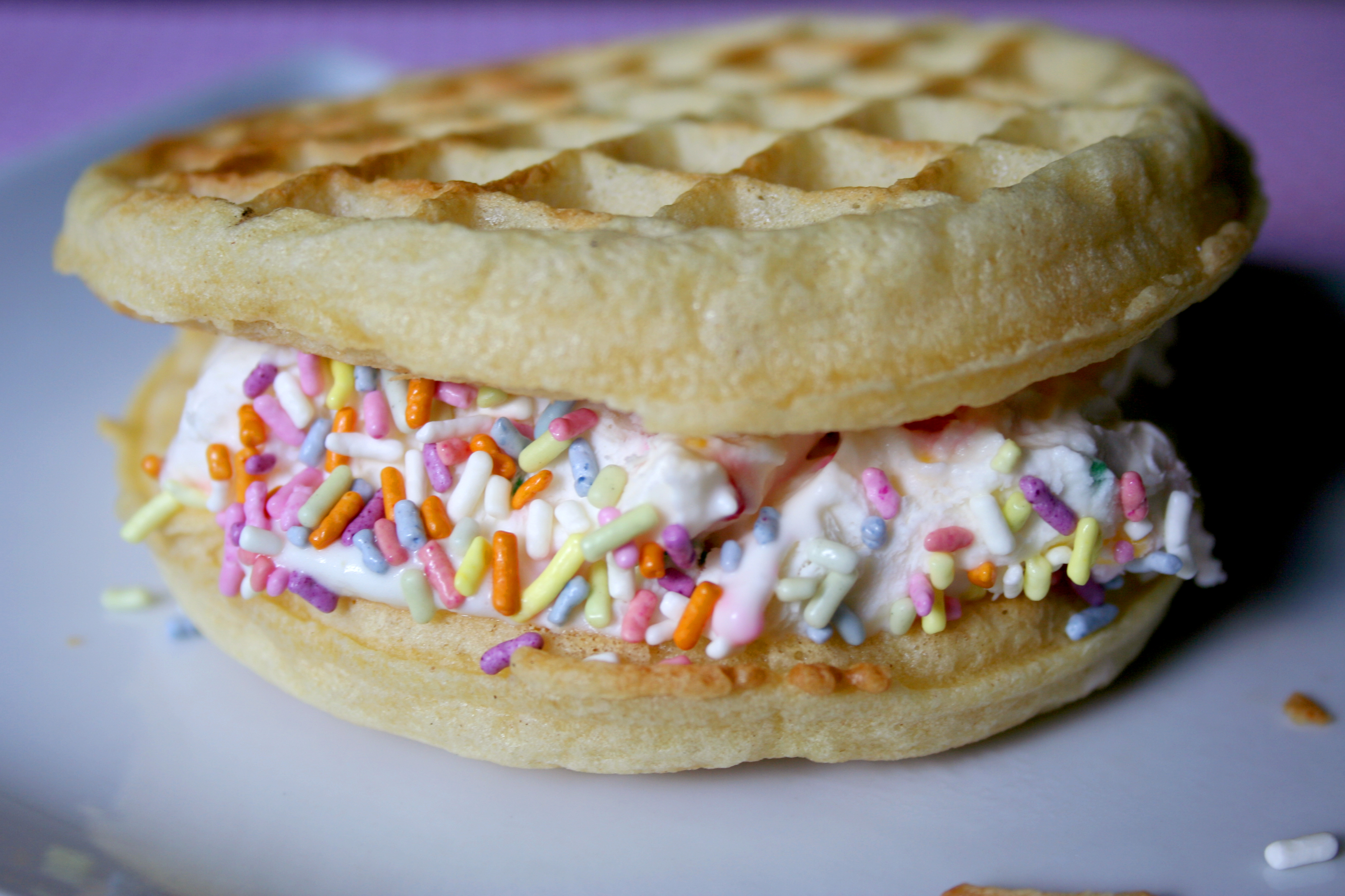 Waffle ice cream sandwich