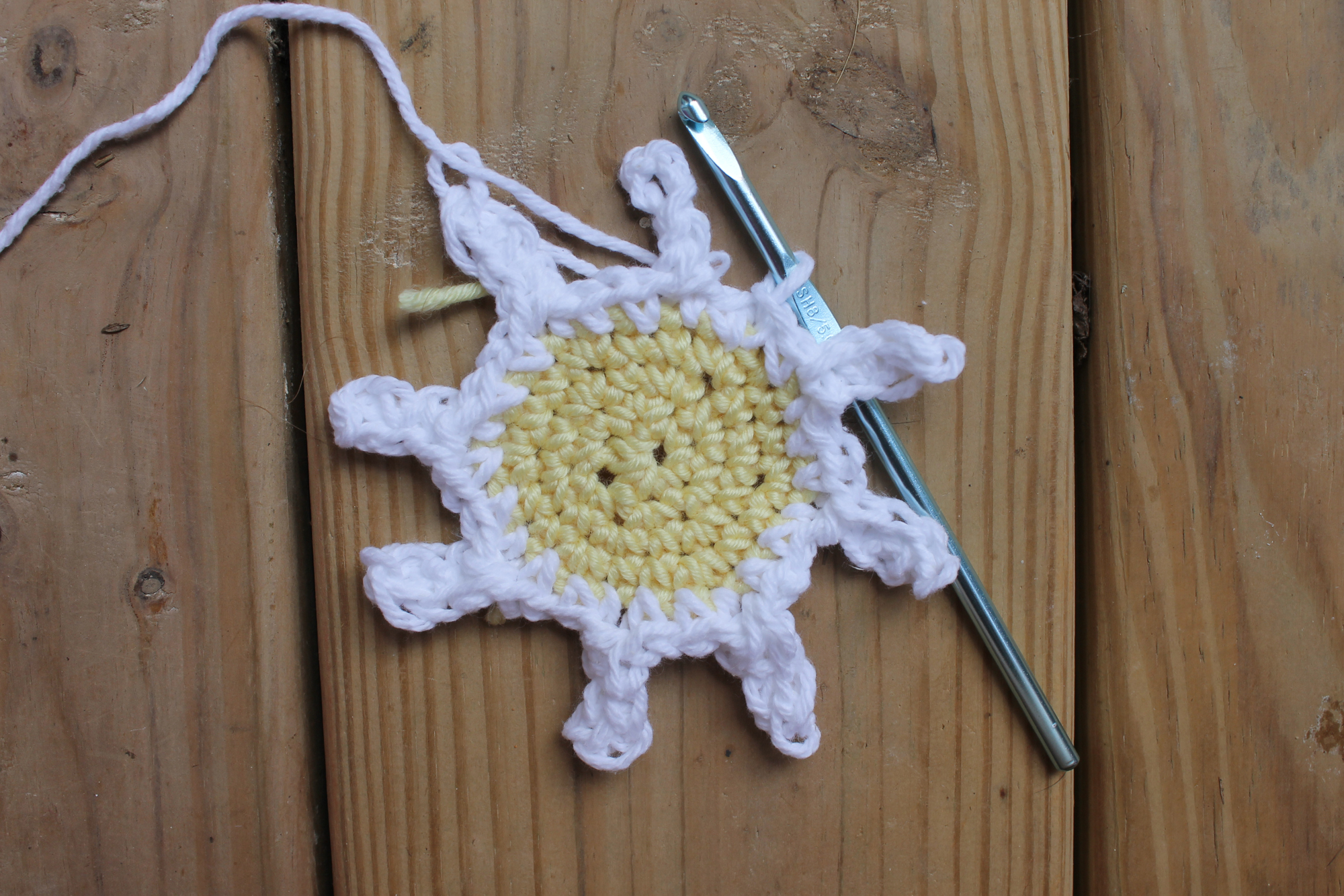 Crochet daisy white petals