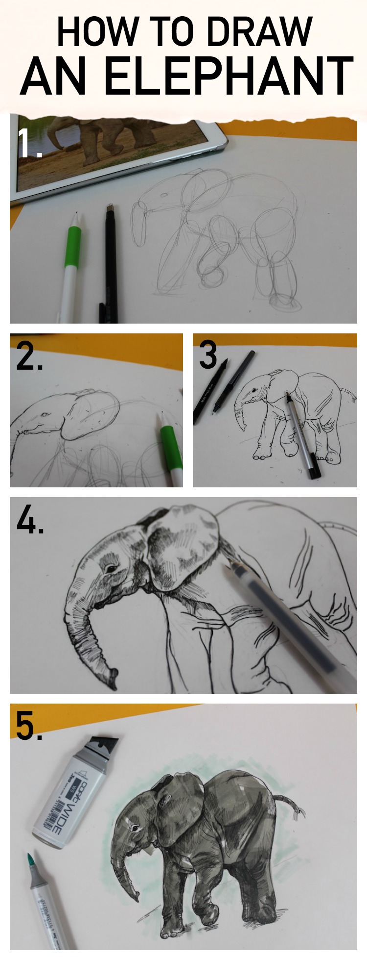 Learn how to draw an elephant with Craftsy's step-by-step tutorial