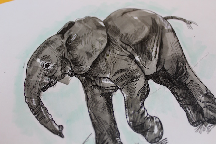 Finished elephant drawing with marker