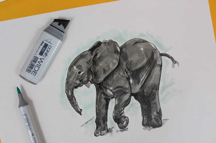 Learn how to draw an elephant on Craftsy!